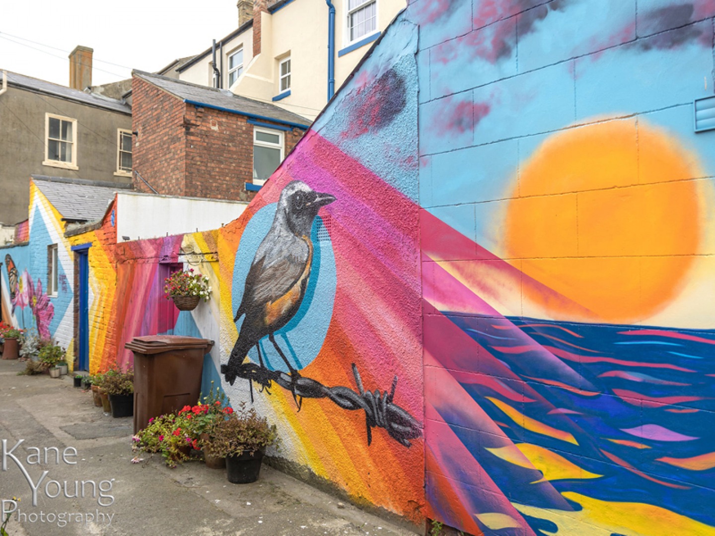 street art bird