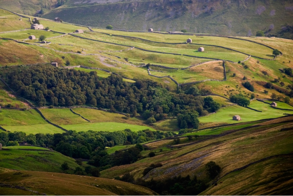 Swaledale