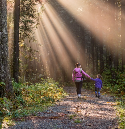 Create Your Own Adventure with Go Smarter, Go Active this Half Term