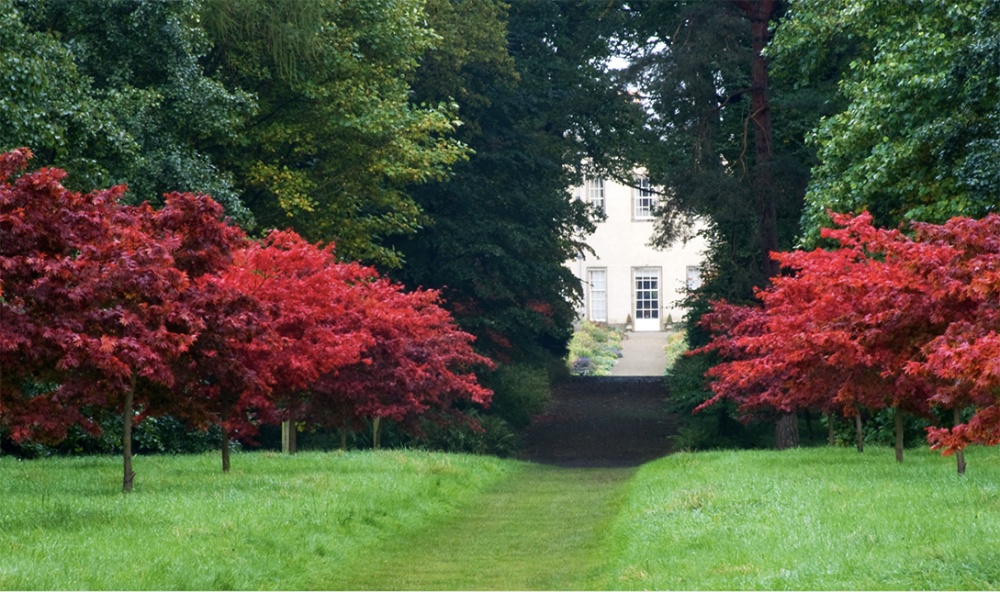 Where to See Yorkshire’s Spectacular Autumn Colours