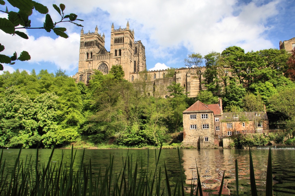 Guided Walks in the North East For All The Family To Get Involved In