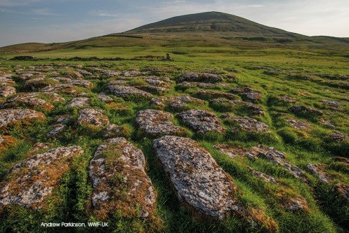 WWF-UK, Andrew Parkinson