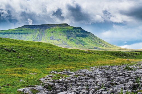 Making Ingleborough Wild Again