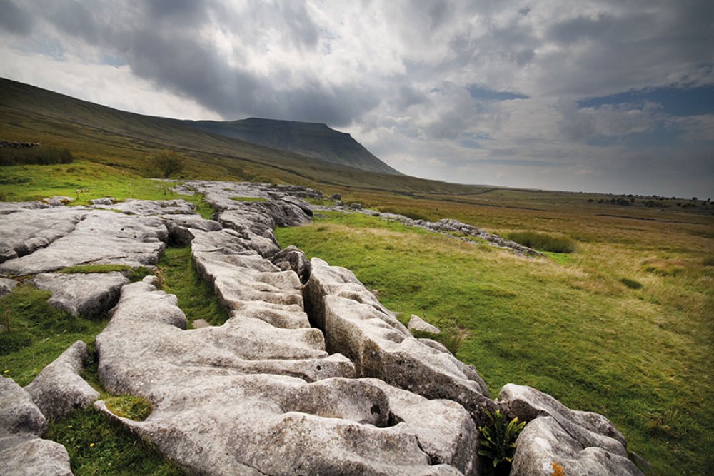 Wild Ingleborough