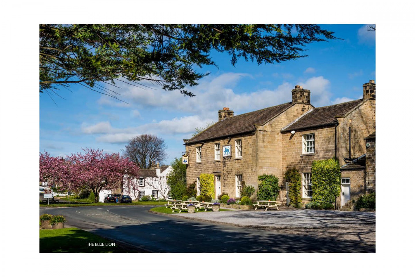 THE BLUE LION
