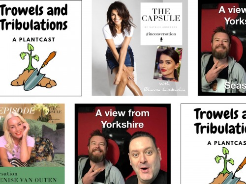 Three of the Best Close to Home Podcasts