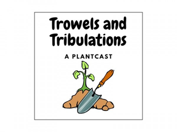 TROWELS & TRIBULATIONS