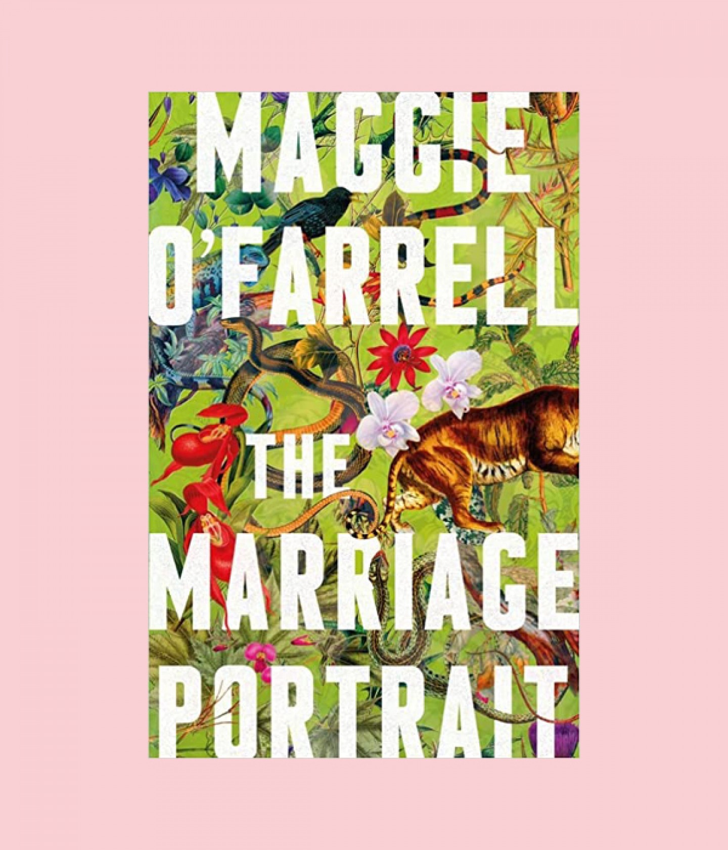 The Marriage Portrait by Maggie O’Farrell