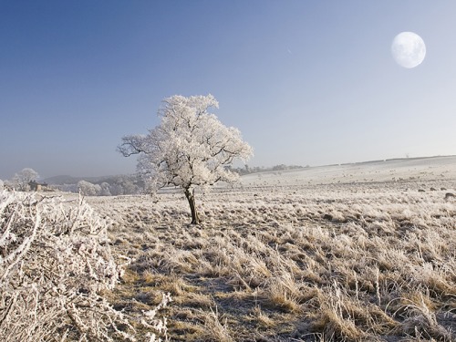 Meet The Local Author Who Has Written a Treasure Trove of Wintry Words