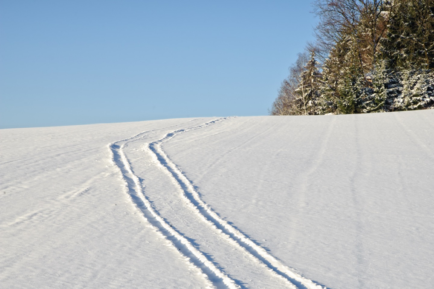 ‘Snow Bones’, the long lines of untouched snow between tyre tracks.