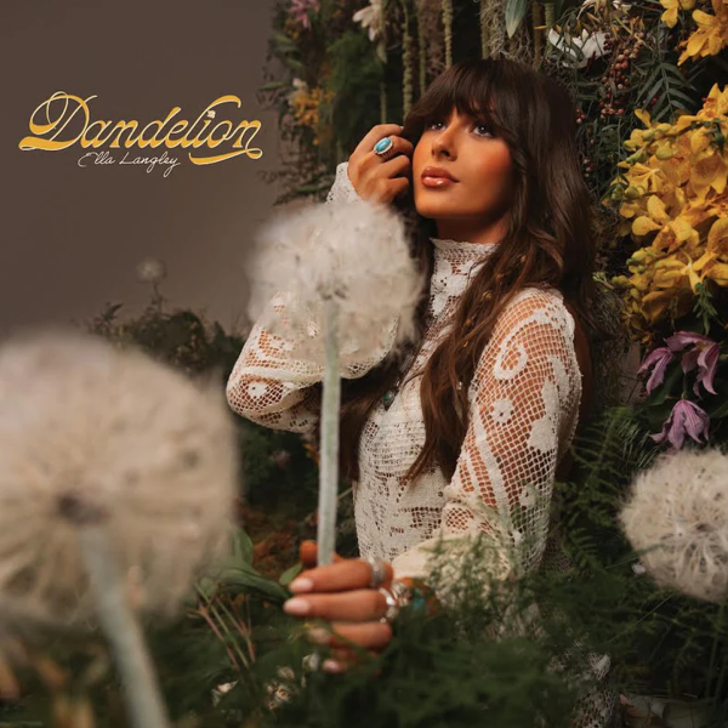 DANDELION  Ella Langley 