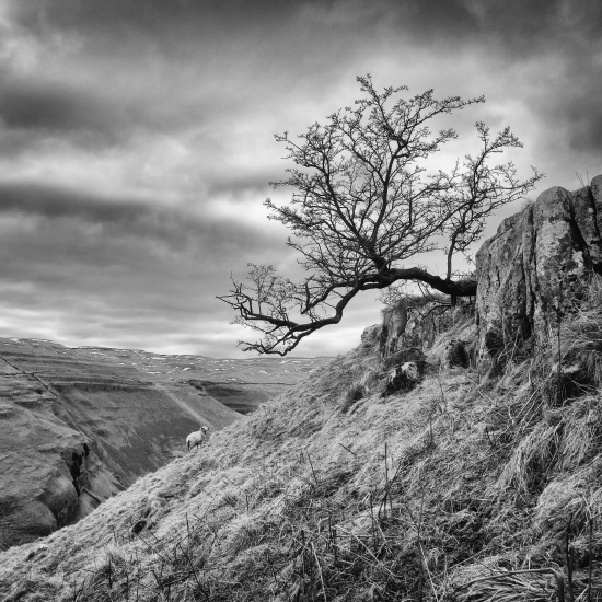 Take a Look at This Beautiful Yorkshire Poetry and Photography Book  – Offcumdens