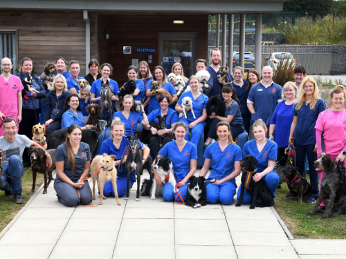 Behind the Scenes of BBC’s 24/7 Pet Hospital, Filmed in County Durham