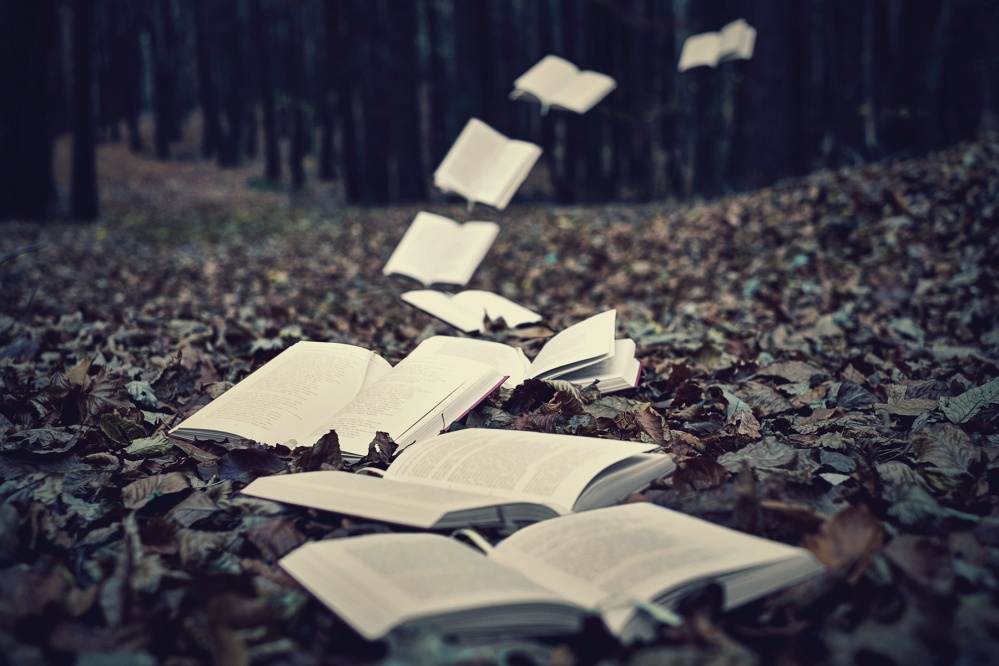 Penny Batchelor is Passionate About Improving Representation of Disability in Literature