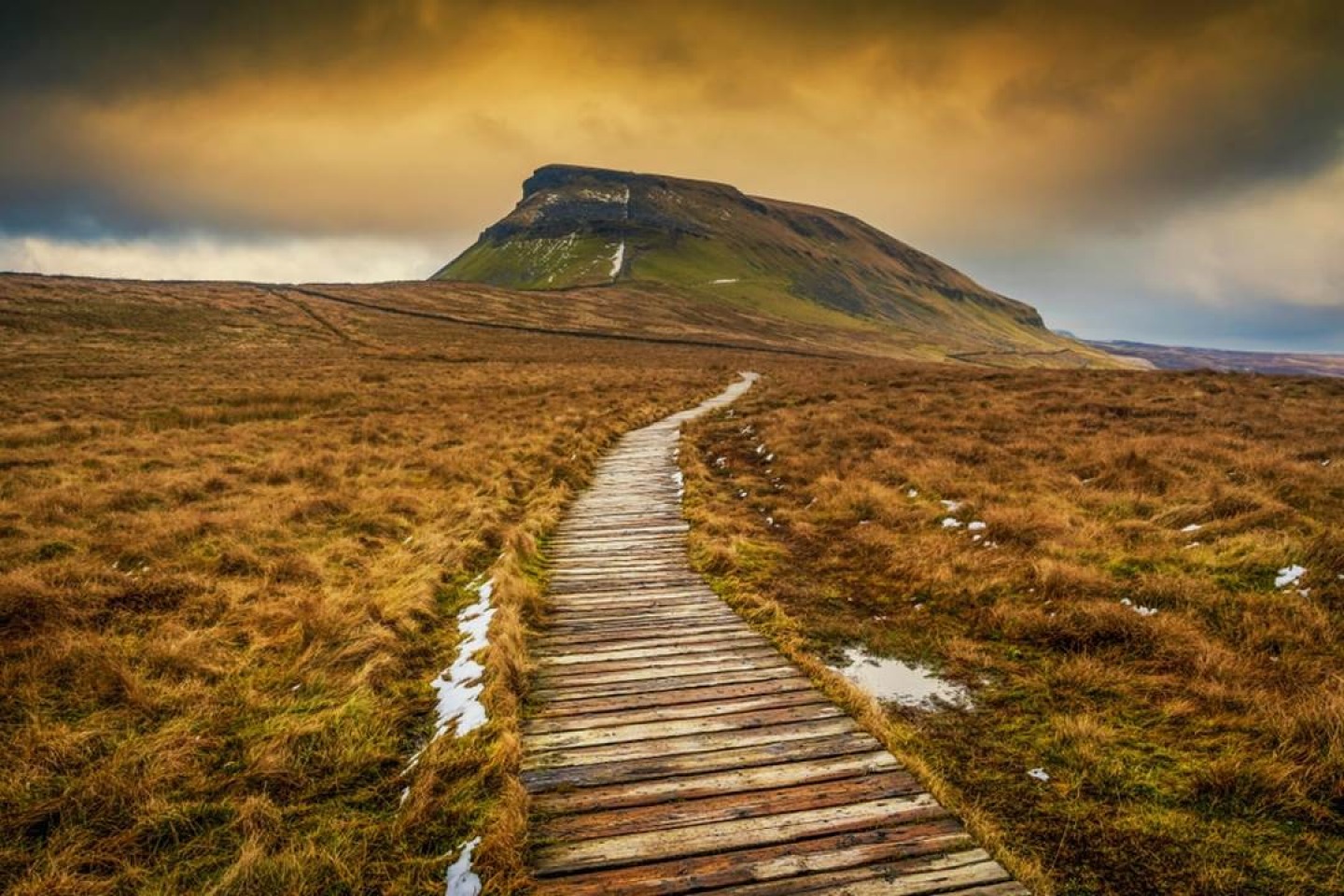 the roof of Yorkshire