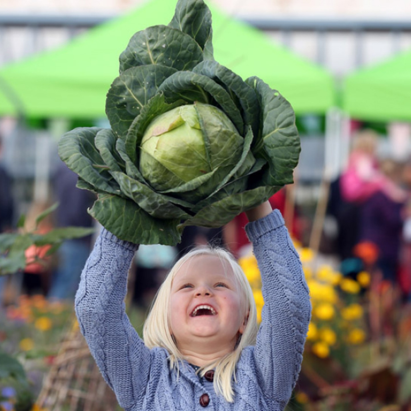 Harrogate Autumn Flower Show