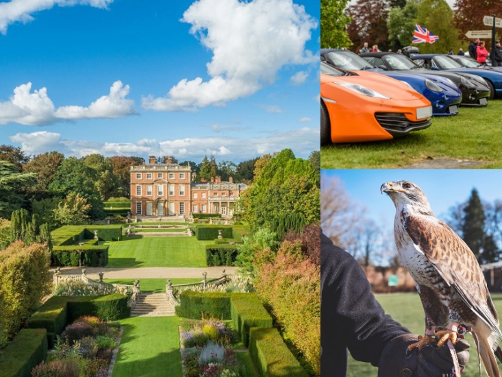 collage of family events