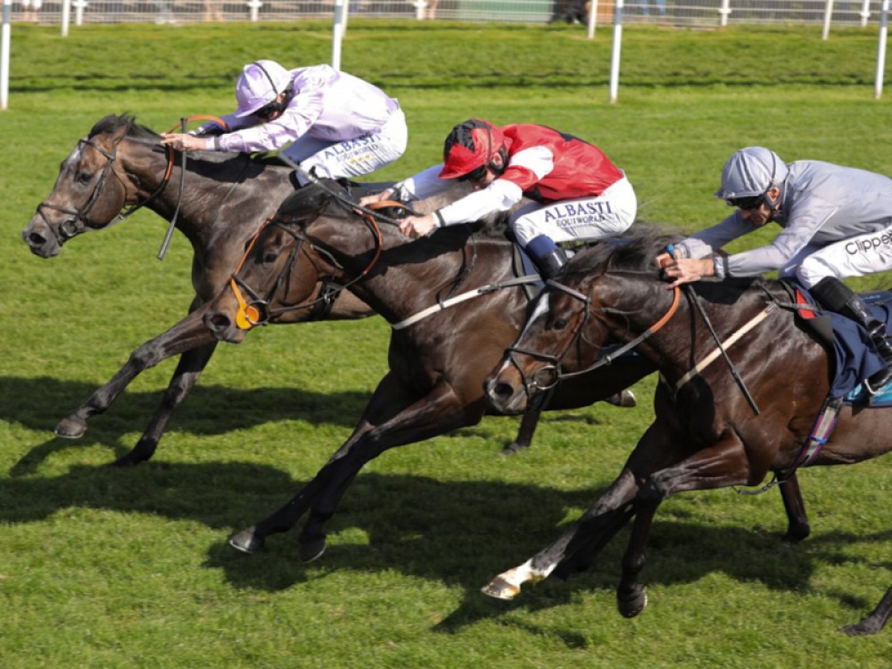 horses and jockeys racing