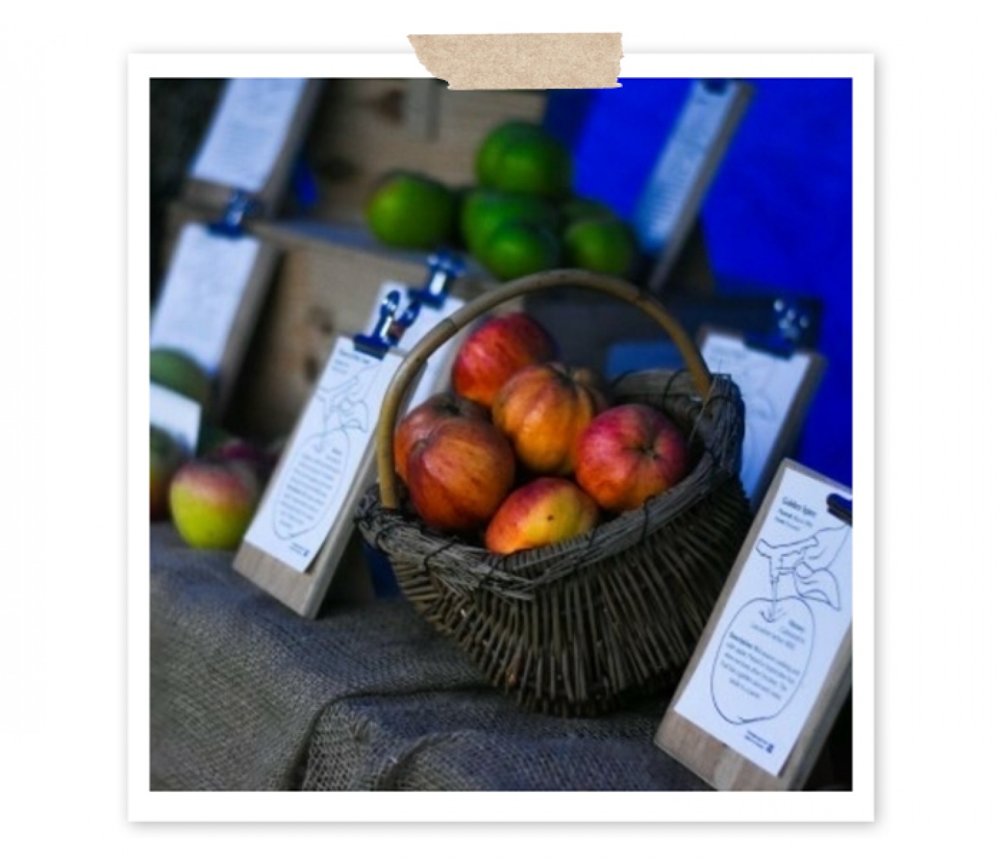 Apples in a basket between clipboard