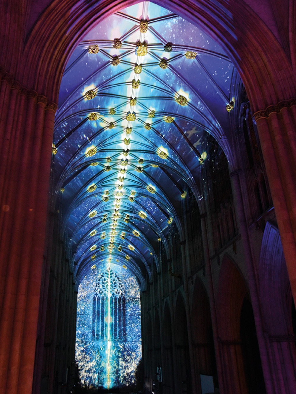 Building light up with colourful lights
