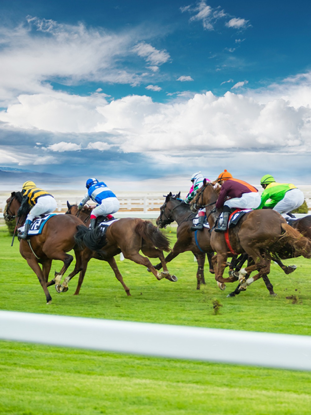 horses racing