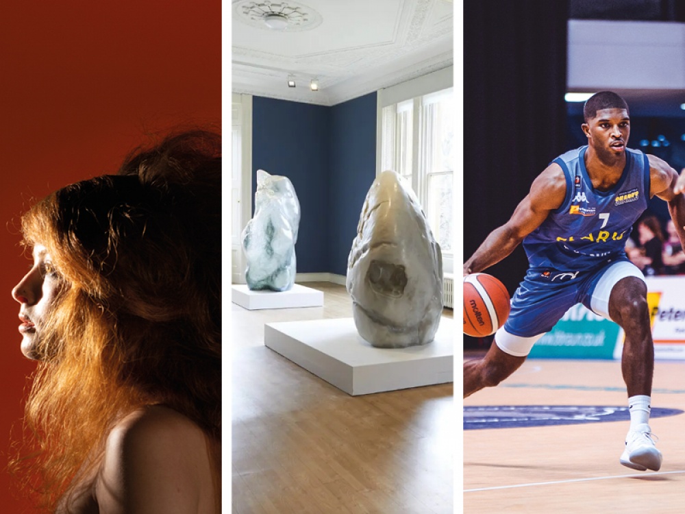 Collage of images featured in article