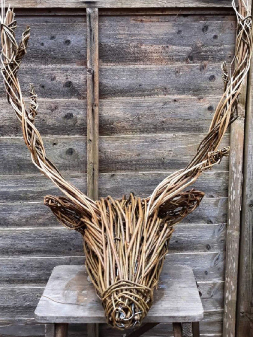 Willow Stag Head