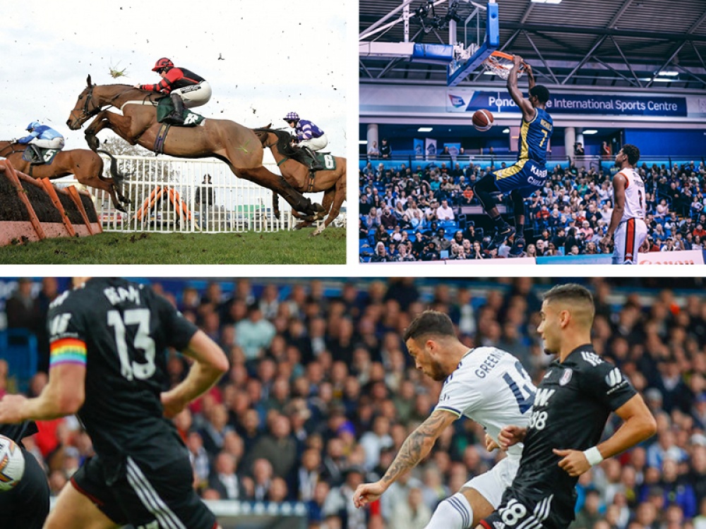 Collage of featured sports