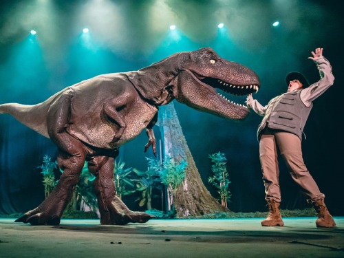 Four Must-Not-Miss Family Shows in Darlington and Yorkshire this January