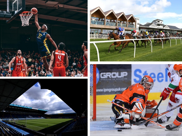 collage of featured images