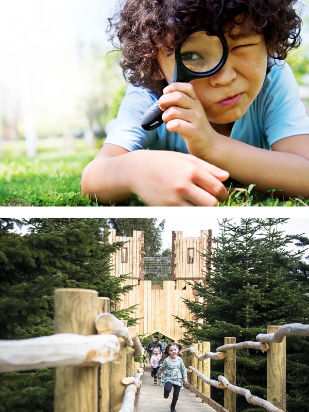 WWT Washington | Raby Castle