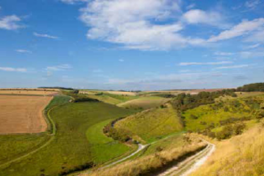 ST LEONARD’S HOSPICE WOLDS WALK
