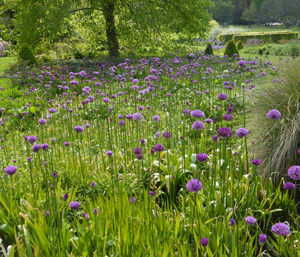 RHS Garden Harlow Carr