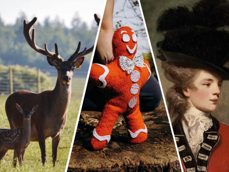 Collage of featured images