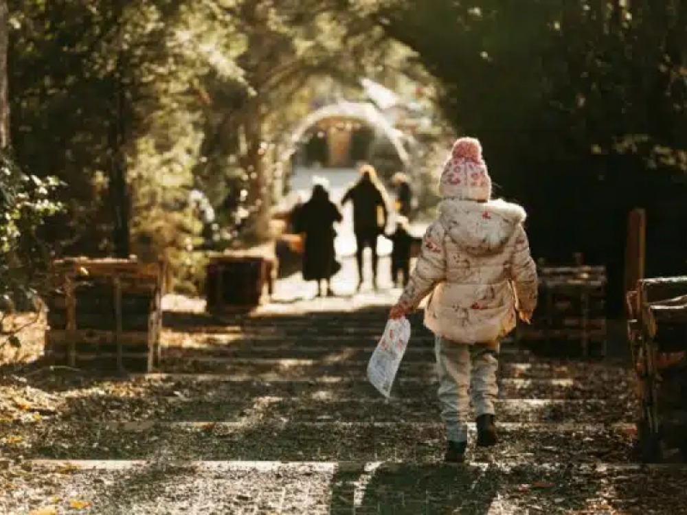 New Year’s Day at The Plotters’ Forest Christmas Trail