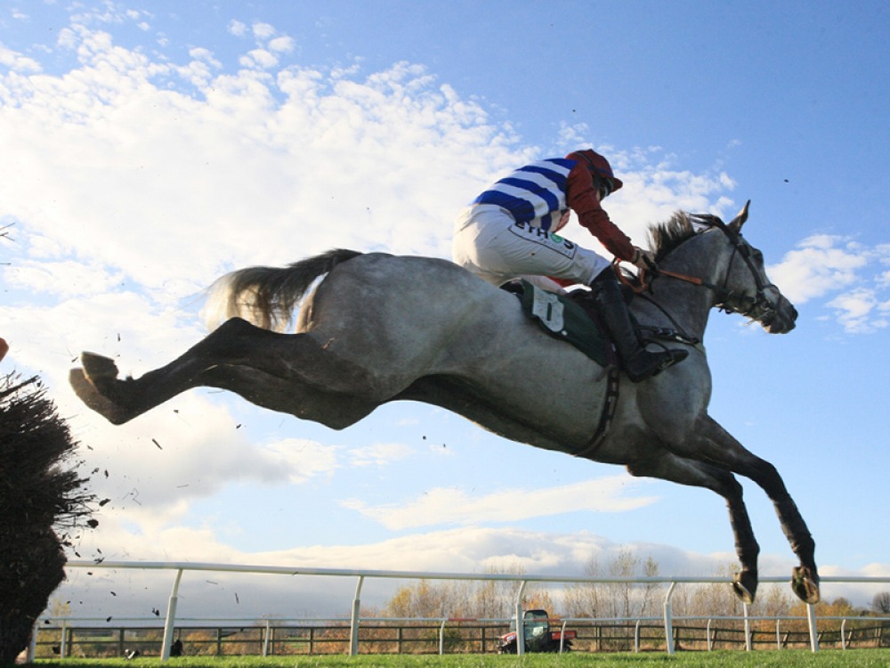 New Year’s Day Raceday