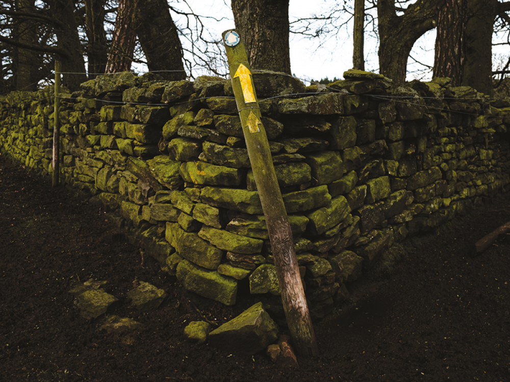 © Rimell Terra Incognita - The Waymarker