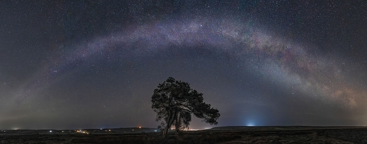 Milky Way arc over the lone tree at Egton © Steve Bell