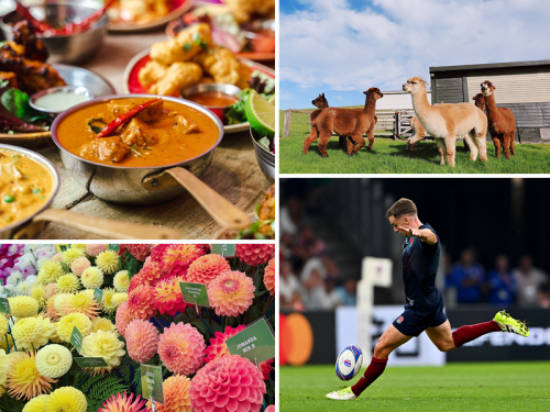 What To Do This Weekend Whatever The Weather