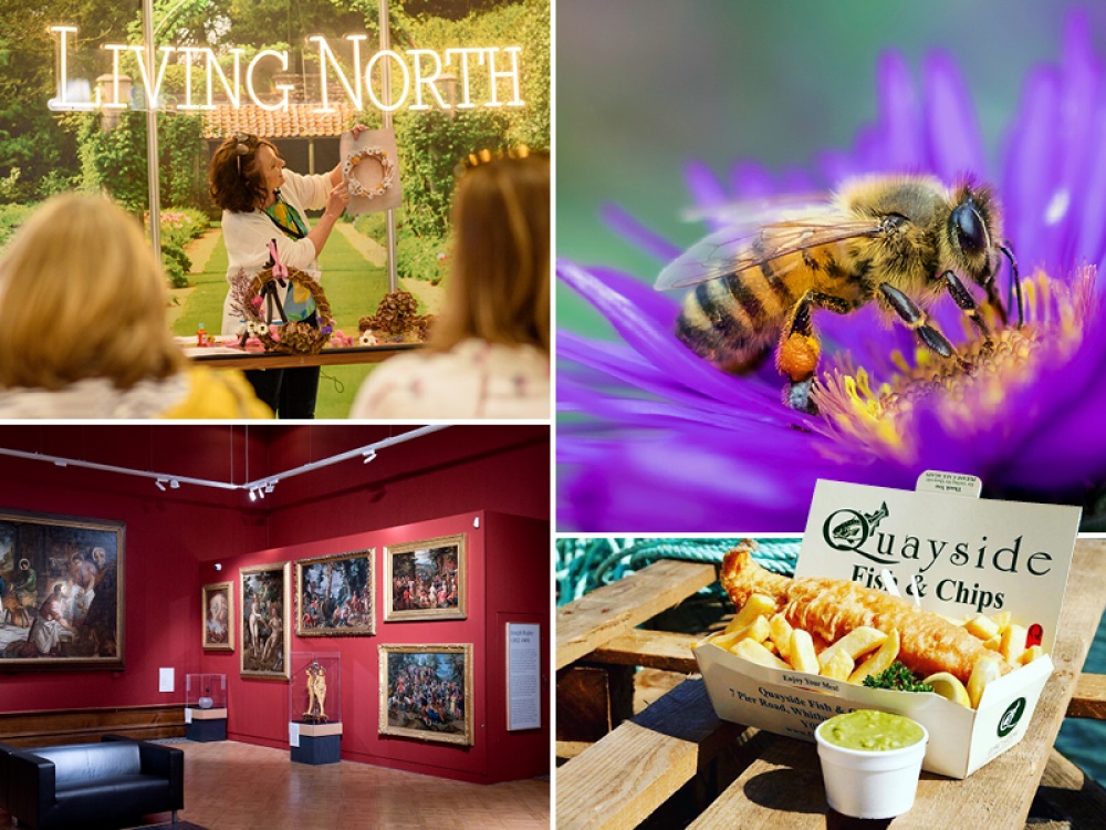 clockwise starting top left: spring wreath demonstration, a honey bee on a purple flower, fish and chips in a takeaway box, red art gallery room