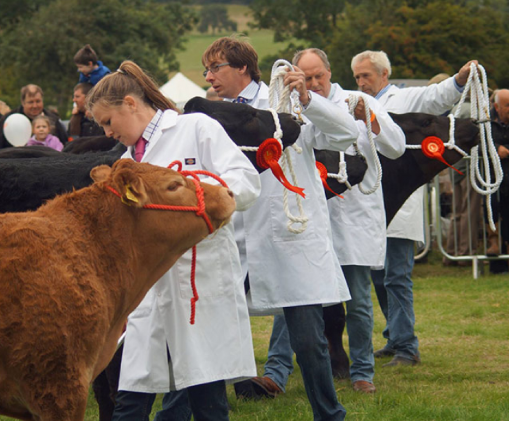 Wolsingham Show