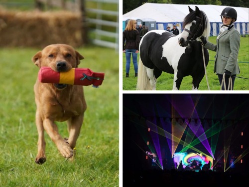 All the Country Shows and Festivals You Won't Want to Miss in the North East