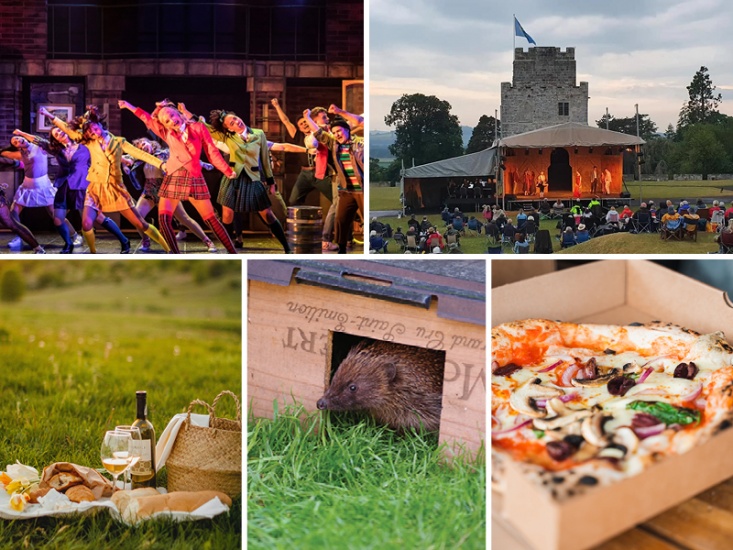 Fun Things to Do this Weekend