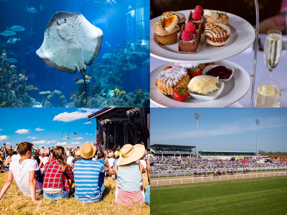 What You’ll Want To Do This Weekend