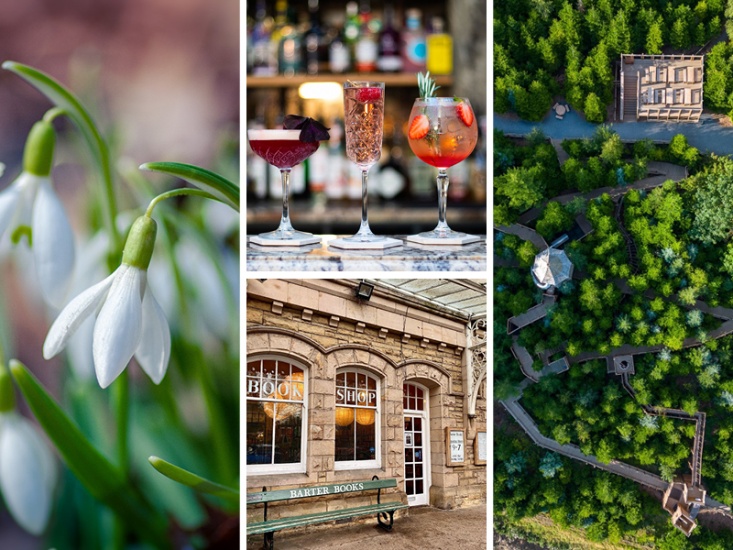 4 images in a collage; snow drops, cocktails, book shop and a forest