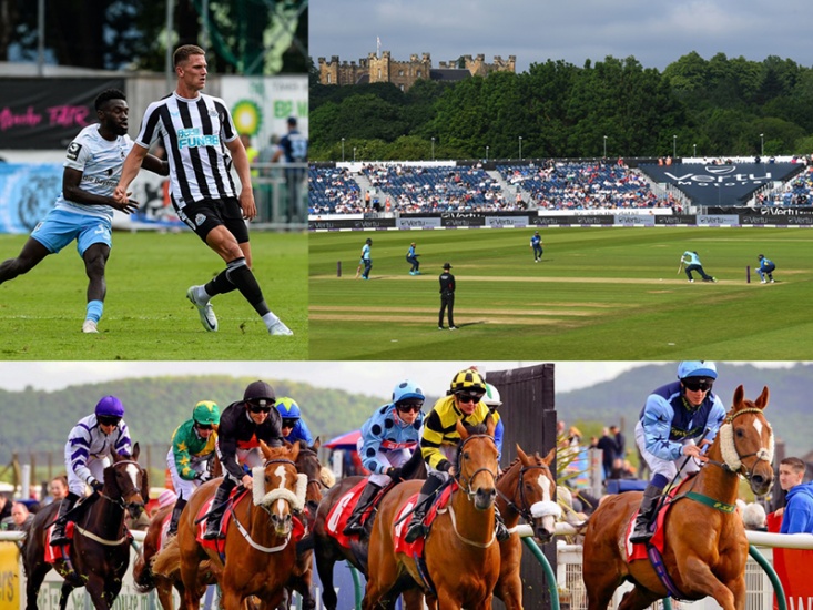 Collage of sporting events