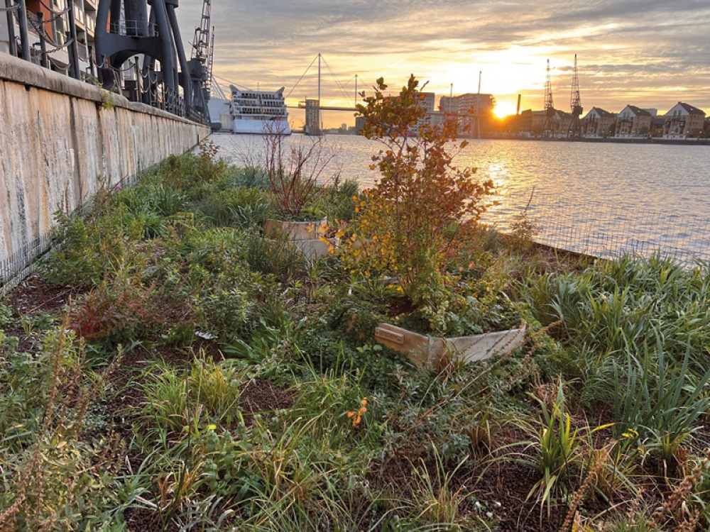 Biomatrix Royal Docks London