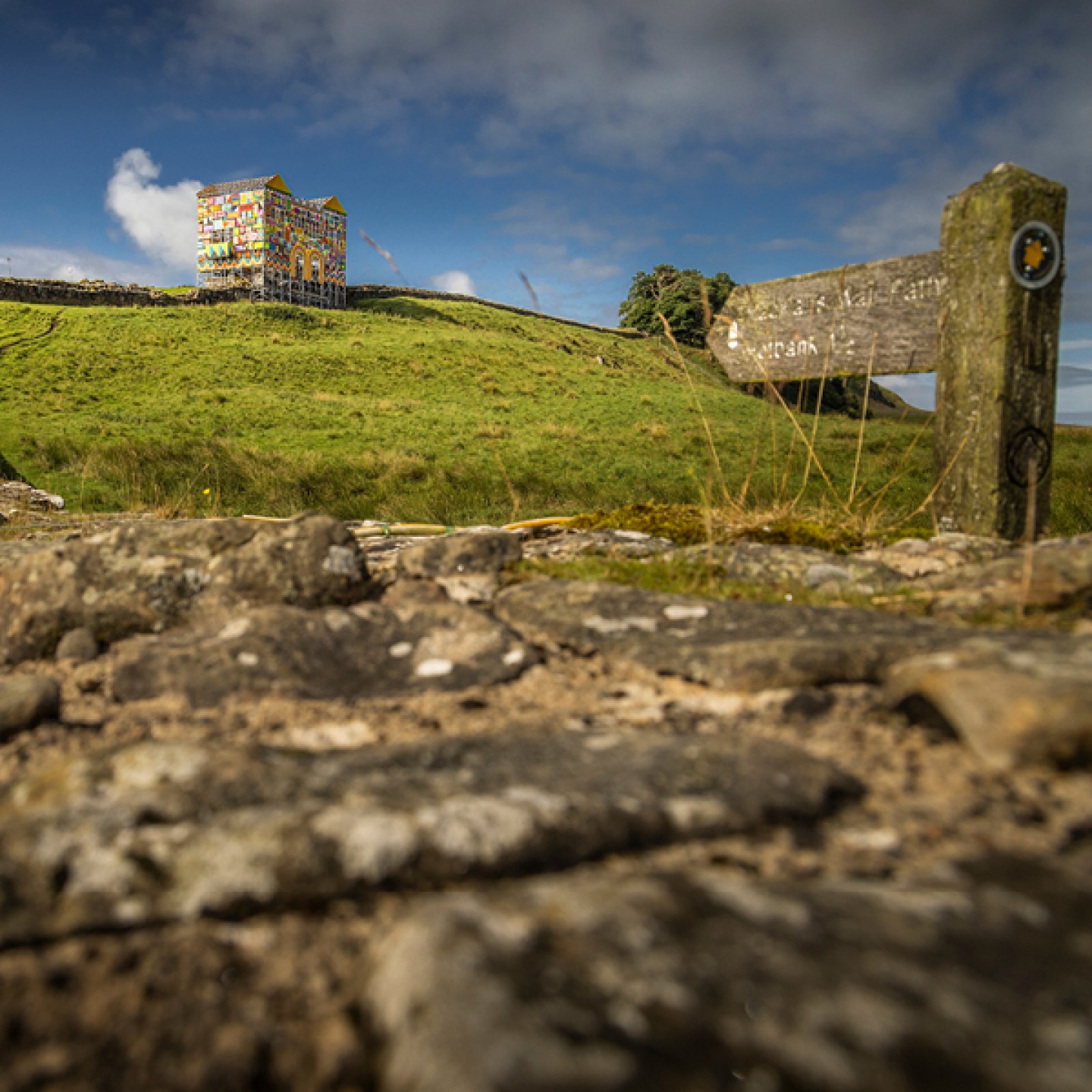 view of art installation from bottom of the hill with sign post pointing up to it