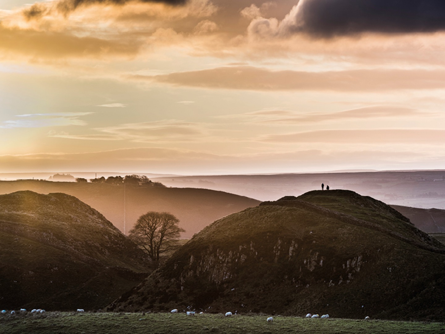 Sunrise at Sycamore Gap