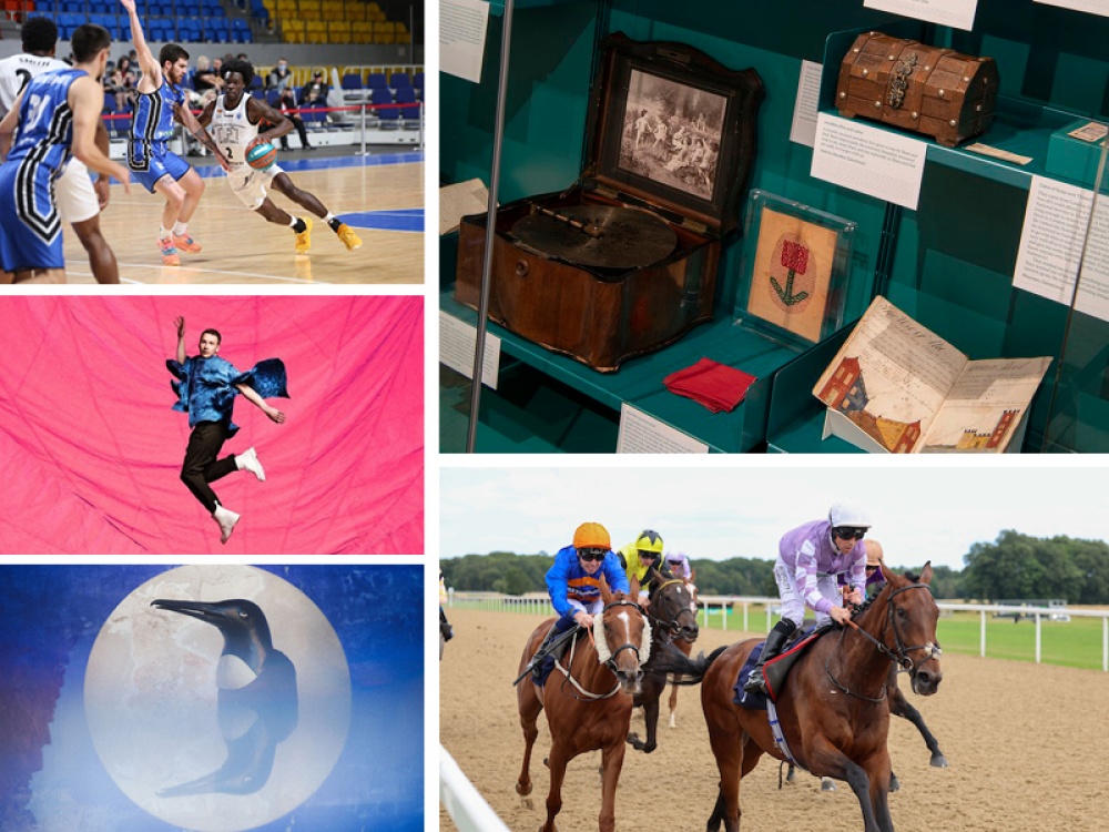 Collage of featured events